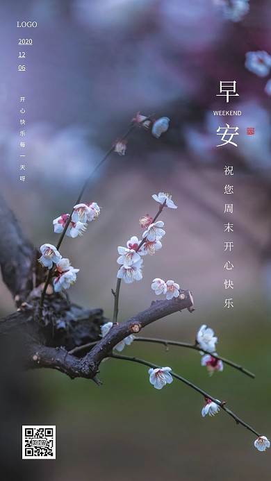 简约大气花早安冬季周末摄影日签