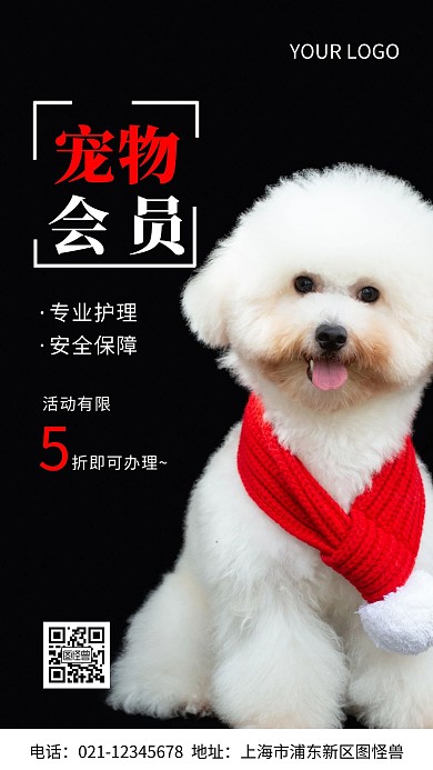 会员宠物狗白色红色简约风摄影图海报