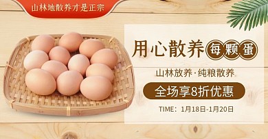 电商简约食品散养土鸡蛋促销海报