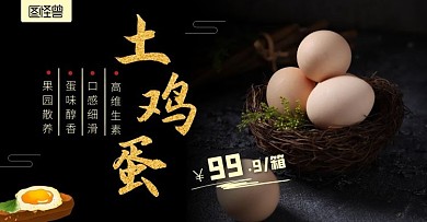 土鸡蛋高维生素散养黑色简约海报