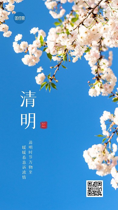 简约大气清新创意清明节通用祝福摄影图海报