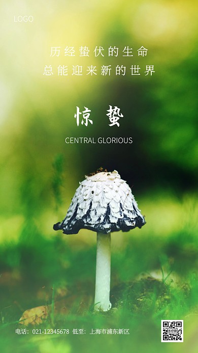 绿色创意惊蛰传统节气手机海报