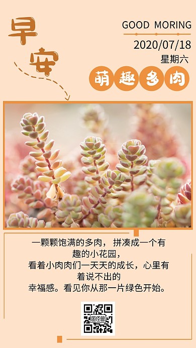 早安日历多肉多肉橙色简约日签