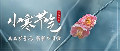 摄影风小寒传统节气诗词公众号封面