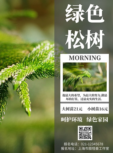  绿色背景绿色松树简约宣传海报