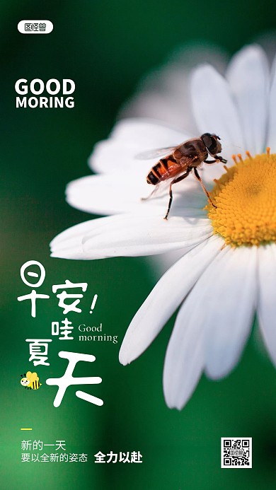 早安夏天励志简约风摄影图手机海报