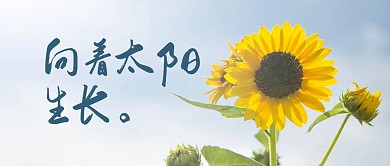 问候鼓励简约向日葵公众号封面首图