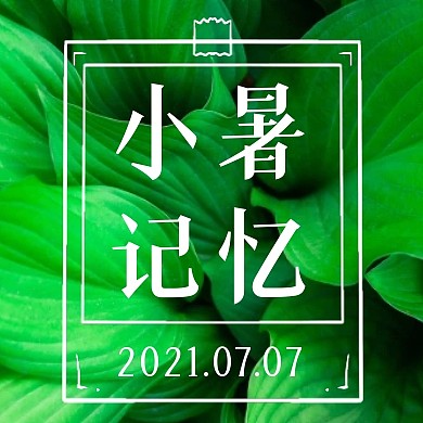 叶子森林小暑记忆节气活动公众号封面次图