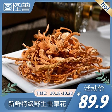 保健品虫草花蓝色简约主图直通车