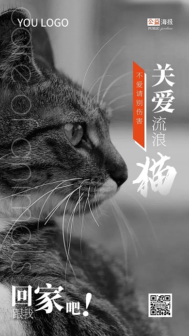 关爱流浪动物公益摄影手机海报