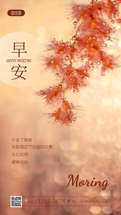 唯美早安问候简约风摄影图海报