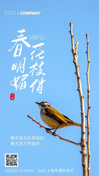 春天鸟儿摄影图感悟手机海报