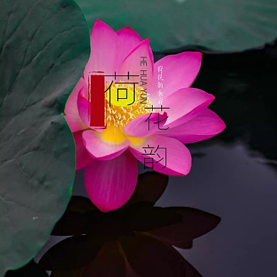 中国风简约创意荷花韵食府logo