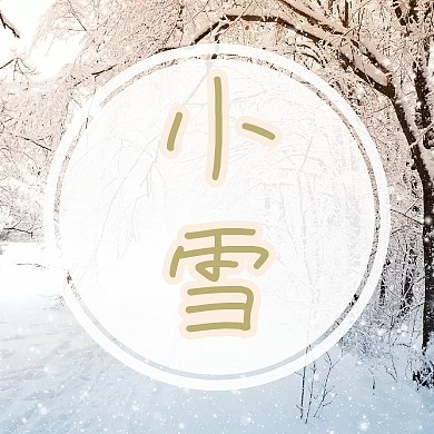绿色简约大气小鸟小雪节气公众号封面小图