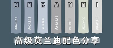 高级莫兰迪配色分享公众号首图