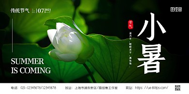 简约大气小暑节气宣传横版海报