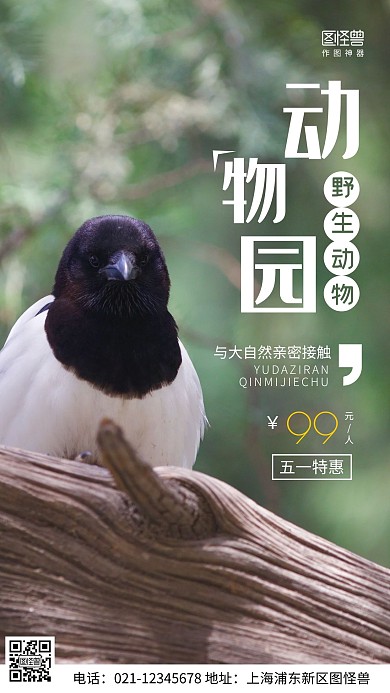 摄影图野生动物园绿色简约风手机海报