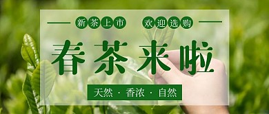 春茶来啦茶叶公众号主图首图