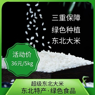 东北大米绿色简约时尚大米主图直通车
