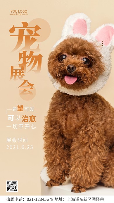 宠物展会通知棕色时间简约风摄影图海报