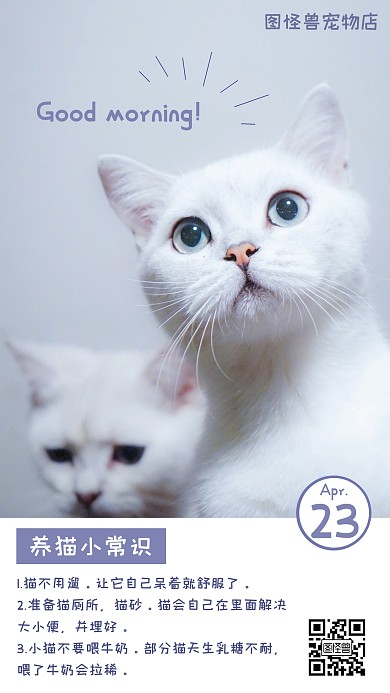 小常识养猫知识可爱简约清新日签