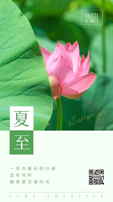 夏至夏至节气荷花问候日签