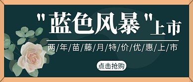 蓝色风暴月季苗木上市简约红包首图设计