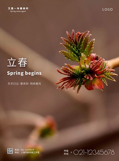 2021简约摄影立春宣传海报