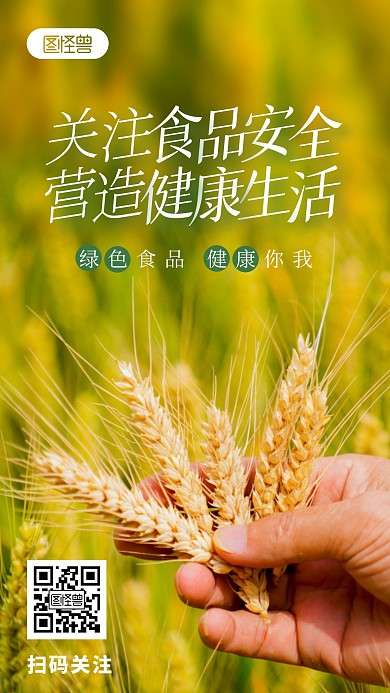 食品安全公益宣传简约粮食摄影图海报