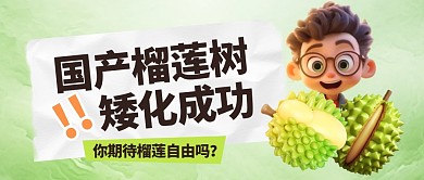 国产榴莲矮化成功公众号首图