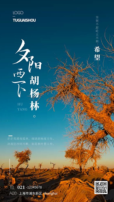 坚韧胡杨林宣传摄影图海报