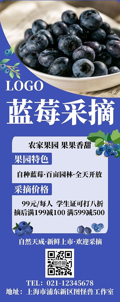 蓝莓采摘蓝莓蓝色简约营销长图