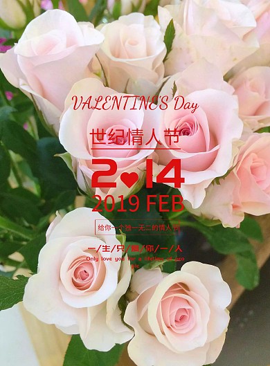 2019情人节海报设计