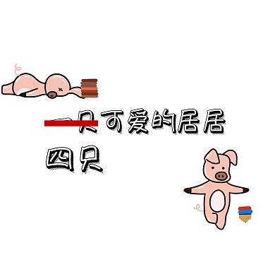 猪猪可爱卡通简单白色黑色纯色背景