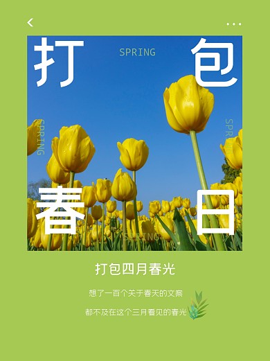 春天春日春天文案小红书封面