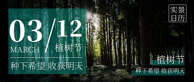 日历风格摄影图植树节公众号首图