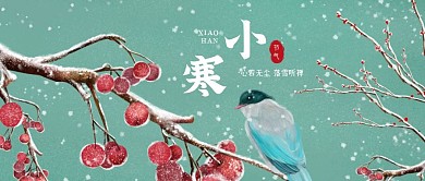绿色红色冬至传统文化节气习俗公众号首图