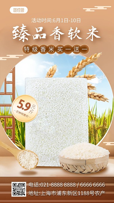 芒种节气大米粮食农产品促销产品海报