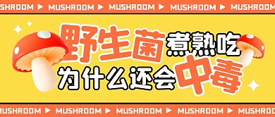 野生菌煮熟吃为什么还会中毒公众号封面首图