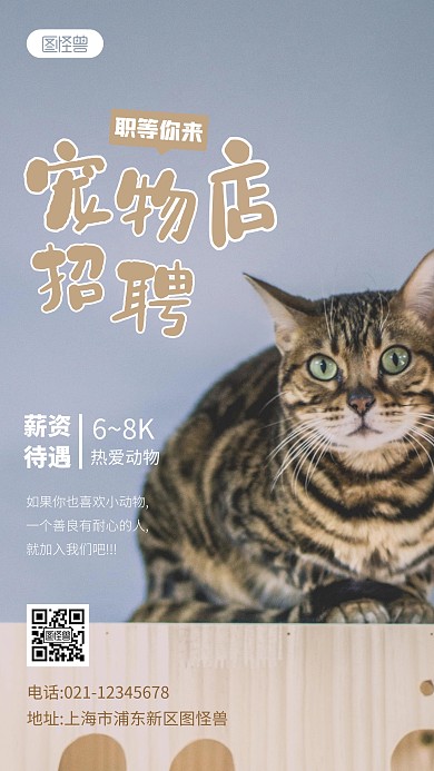 宠物店招聘人事简约宣传摄影图海报