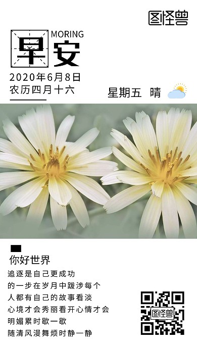 你好简约菊花青色早安图