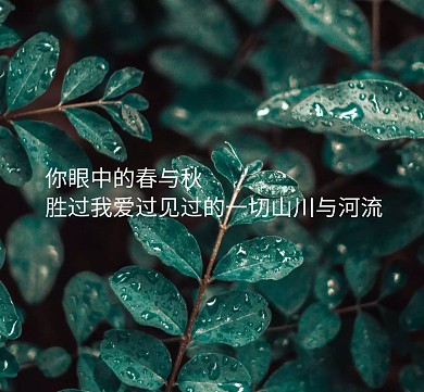 眼中的春秋简洁朋友圈封面