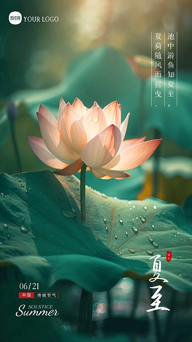 简约大气夏至节气祝福问候摄影图海报