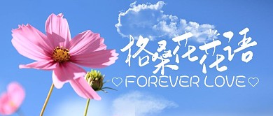 藏地格桑花花语小清新公众号封面