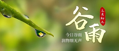 谷雨节气祝福绿色简约公众号首图