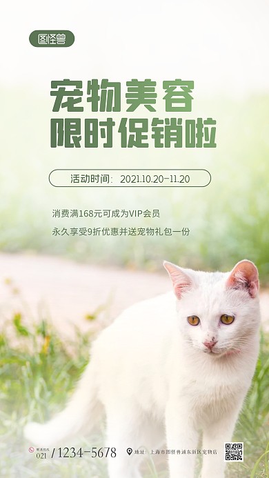 简约大气清新白色宠物美容摄影图海报