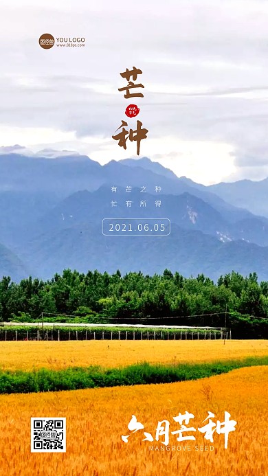 简约大气芒种金融行业借势营销手机海报