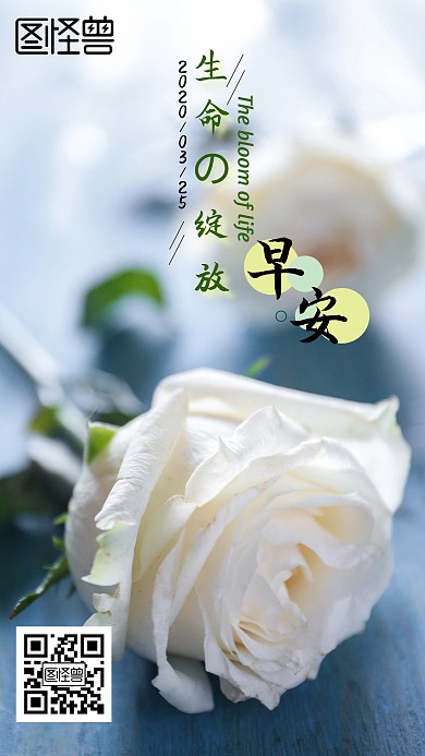 生命的绽放玫瑰早安日签