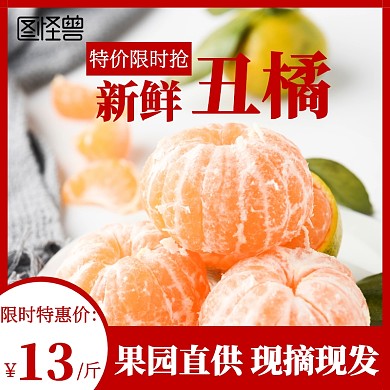 丑橘果园直供主图直通车