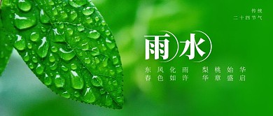 雨水节气绿色公众号首图海报